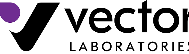 Vector 로고